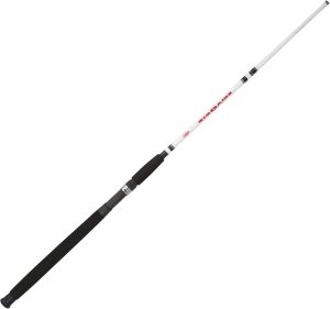 BERKLEY BIG GAME FISHING ROD 10'